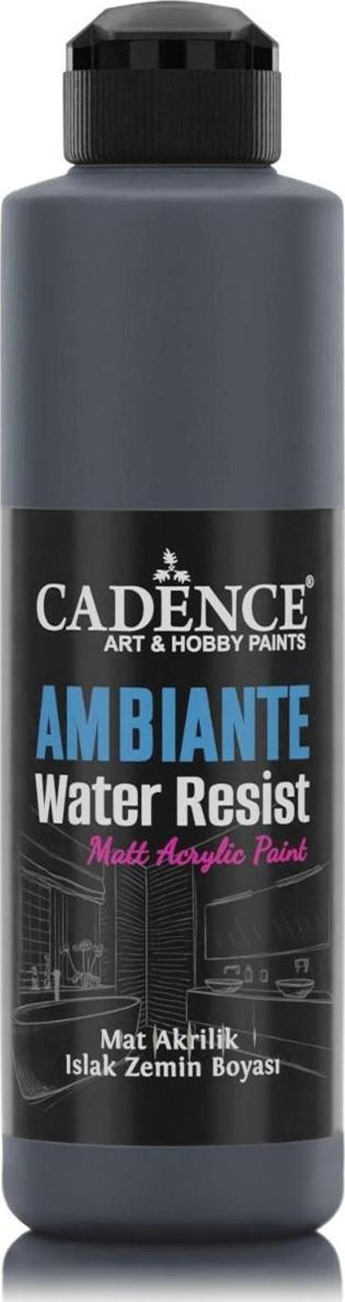 AMBIENTE SUYA DAY. AKR. BOYA AW-23 ANTRASİT SİYAH 250ML + KATALİZÖR 10GR