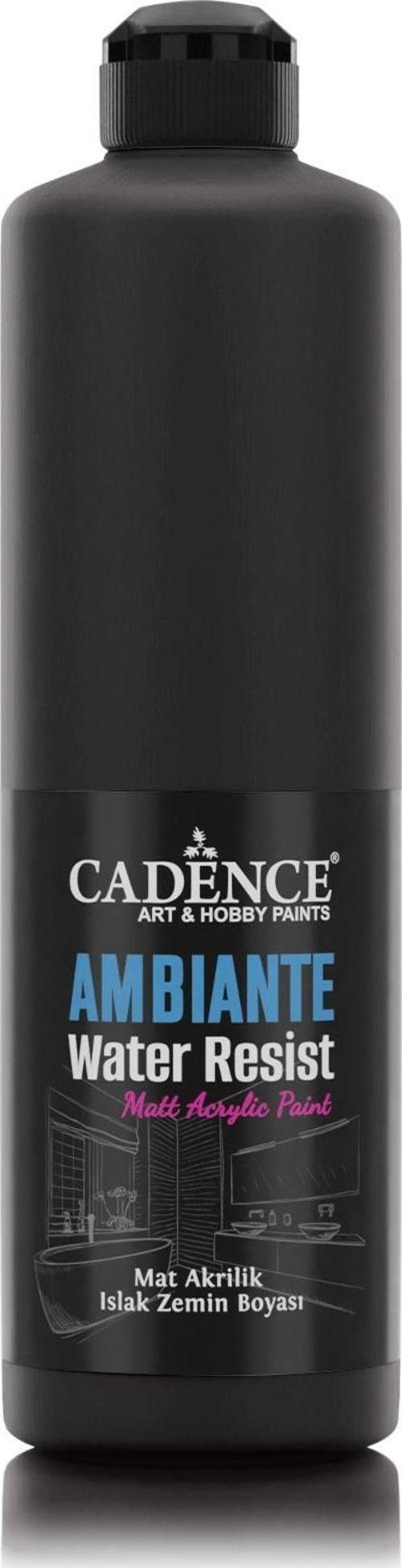 AMBIENTE SUYA DAY. AKR. BOYA AW-24 SİYAH 500ML + KATALİZÖR 20GR