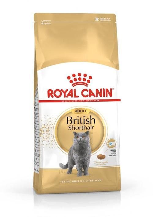 British Shorthair için Kuru Kedi Maması 10 kg