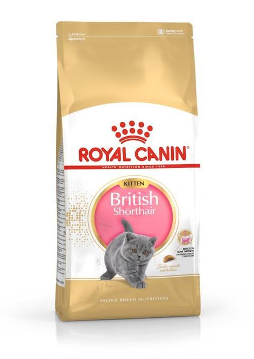 British Shorthair için Kuru Kedi Maması 2 kg