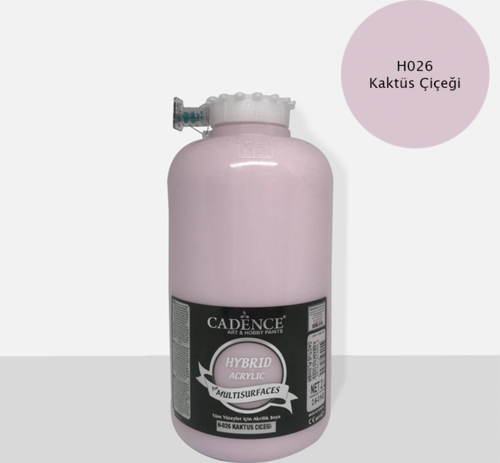 H-026 KAKTÜS ÇİÇEĞİ 2 LİTRE MULTISURFACE HYBRID AKR.