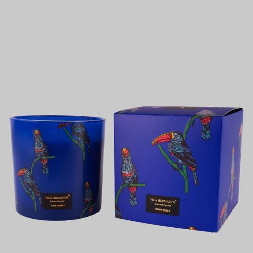 Toucan Raın Forest Candle 650G Mum Standart