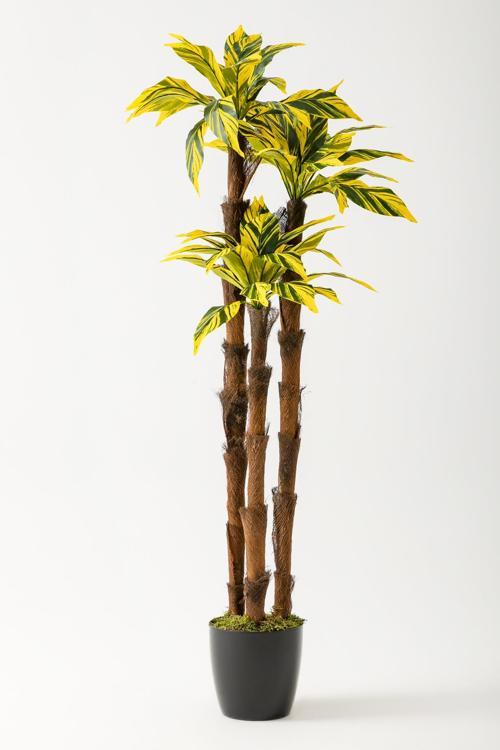 Yapay Kılıç Ağacı 150 Cm 54 Dal Sarı Yeşil