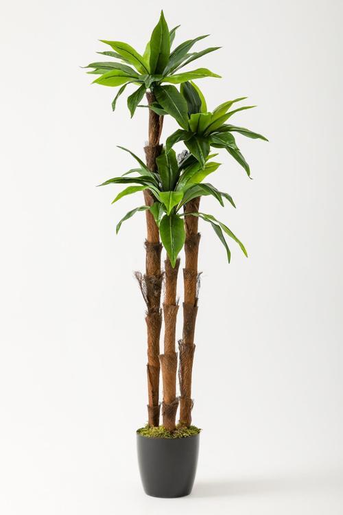 Yapay Kılıç Ağacı 150 Cm 54 Dal Yeşil