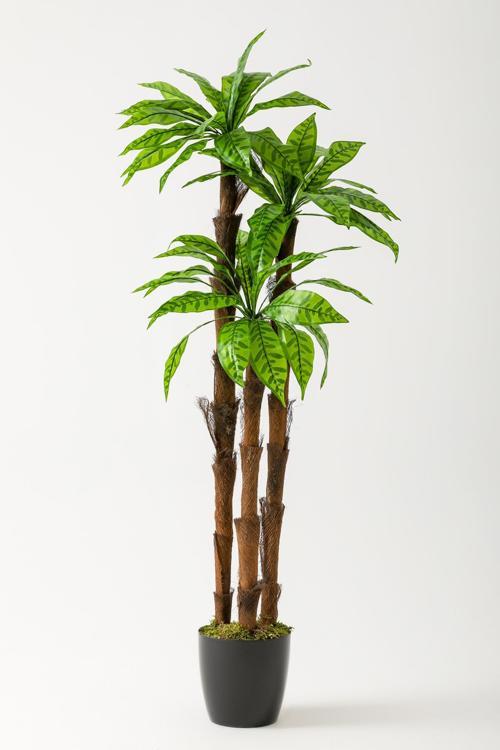 Yapay Kılıç Ağacı 150 Cm 54 Dal Alacalı Yeşil