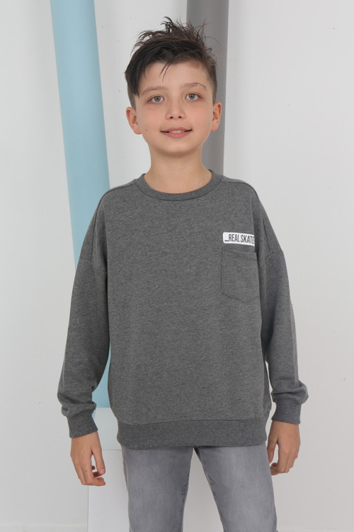 Toontoy Erkek Çocuk Baskılı Sweatshirt