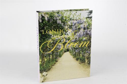 London Bloom Kitap Kutu 29x22x4cm