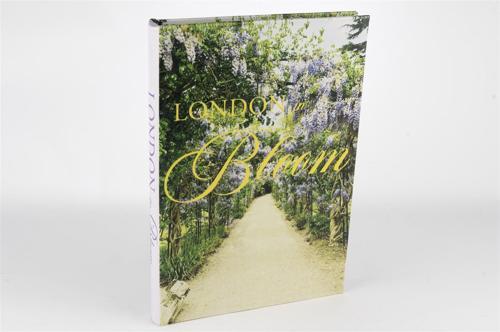 London Bloom Kitap Kutu 35x24x3cm