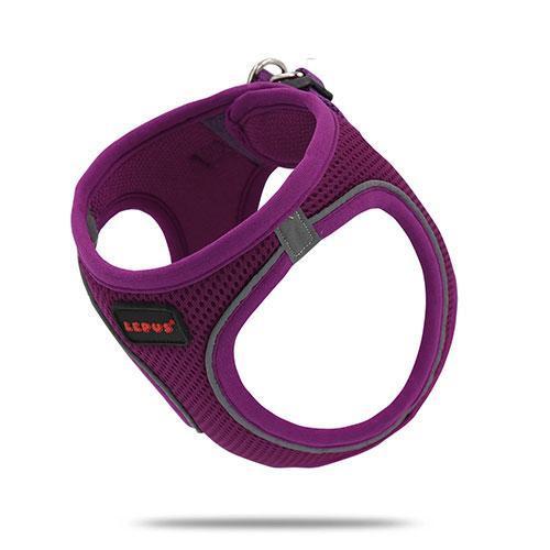 Köpek Göğüs Tasması Mor Large