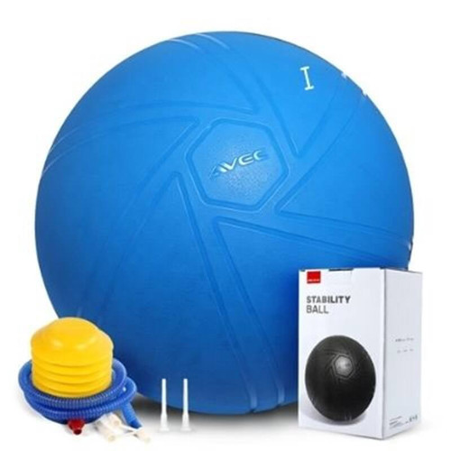Profesyonel Yoga ve Pilates Topu 65 cm