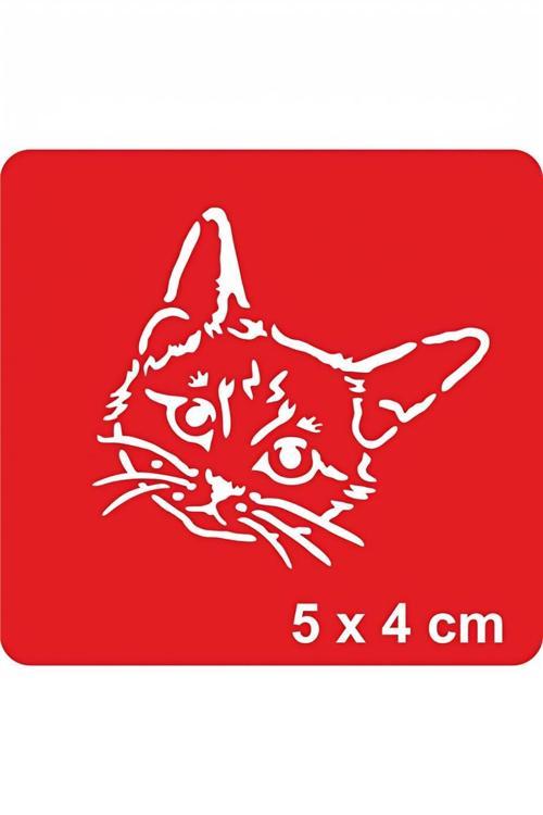 Masum Kedi Tattoo Geçici Dövme Şablonları Kına Kalıpları
