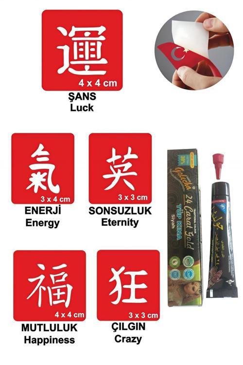 Çince Hint Kınası ile Geçici Dövme Yapma Seti