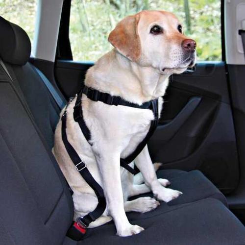 Köpek Emniyet Kemeri 50-70cm M