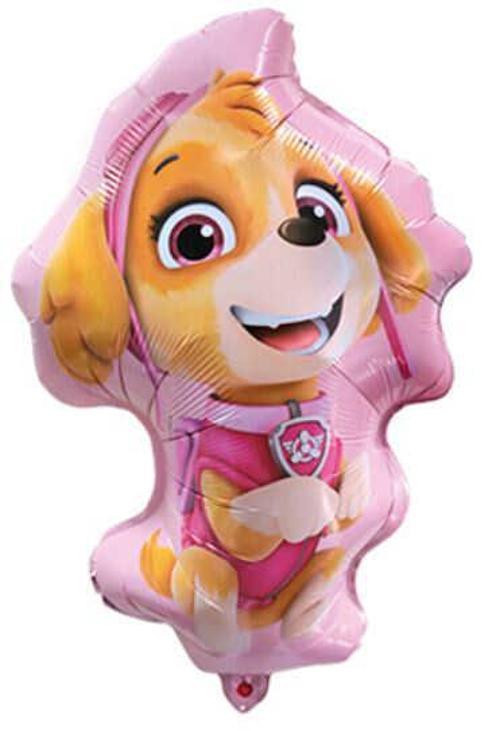 FOLYO BALON PAW PETROL SKYE 26 İNC 4 LÜ SET