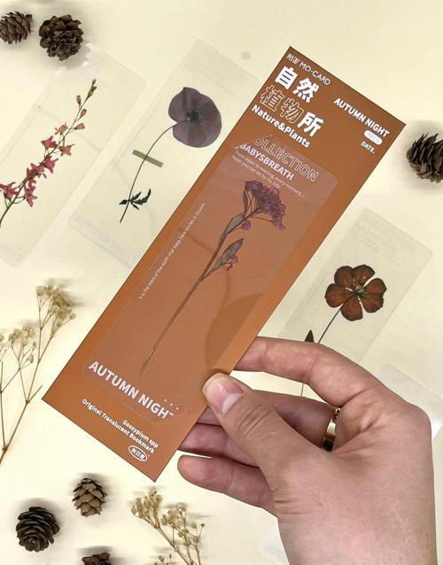 5'li Çiçekli Şeffaf Kahverengi Kutu  Kitap Ayracı