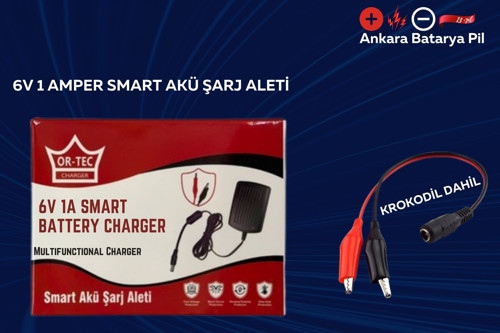 6 Volt 12 Amper Akü ve Ortec 6 Volt 1 Amper Şarj Cihazı