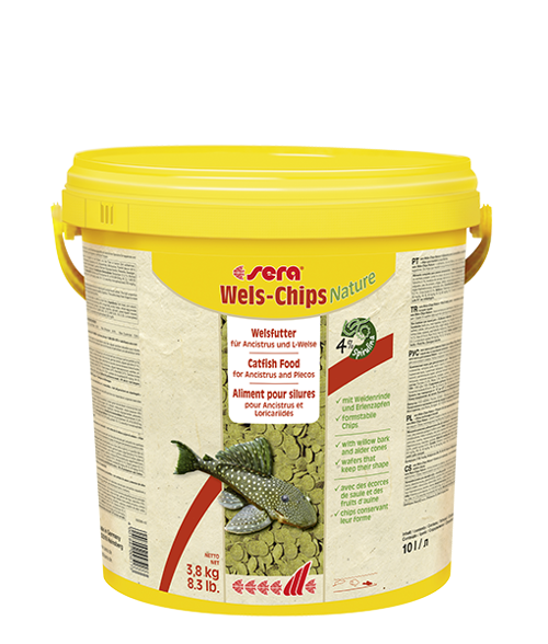 wels chips nature 10Lt / 3800gr.