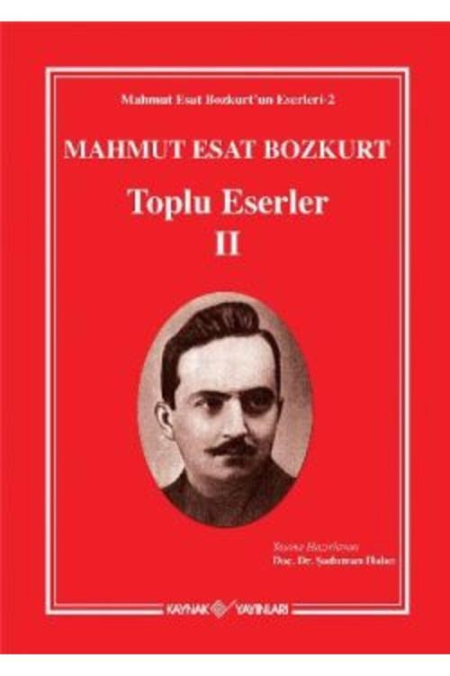 Kaynak Yayınları Mahmut Esat Bozkurt - Toplu Eserler 2