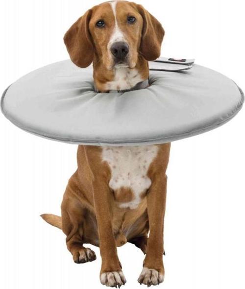 Kedi-Köpek Yakalığı XS 23-27cm 13cm Gri