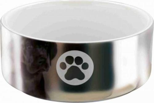 Köpek Seramik Mama ve Su Kabı 0,3Lt 12cm