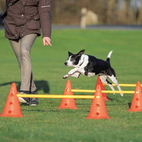 Köpek Agility Oyuncağı 3 Adet 23X30cm 78cm