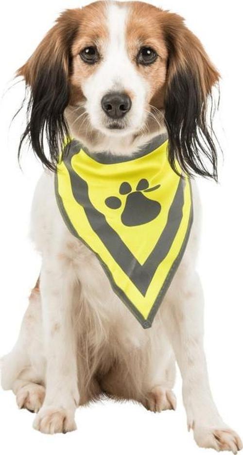 Köpek Bandanası Xs-S 22-28cm