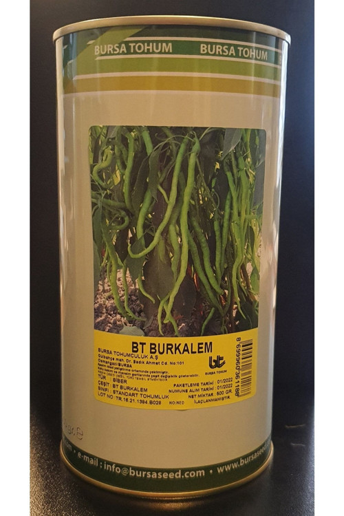 Biber (Burkalem)