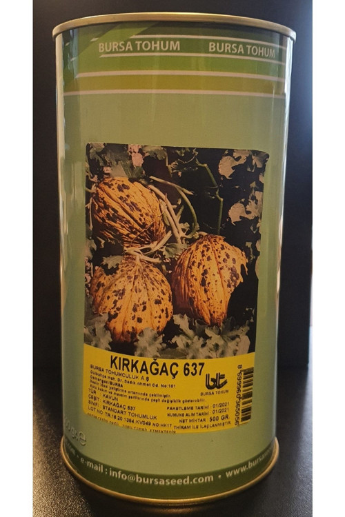 Kavun (Kırkağaç)