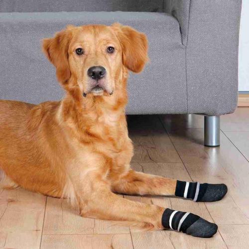Köpek Çorabı Kaymaz L-XL 2 Adet Siyah