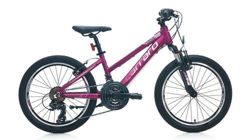 FORCE 201 KIZ ÇOCUK DAĞ BİSİKLETİ 250H V 20 JANT 21 VİTES MAT MÜRDÜM PEMBE