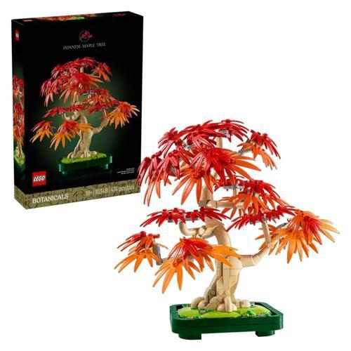 Botanicals Japon Kırmızı Akçaağaç Bonsai Ağacı 10348