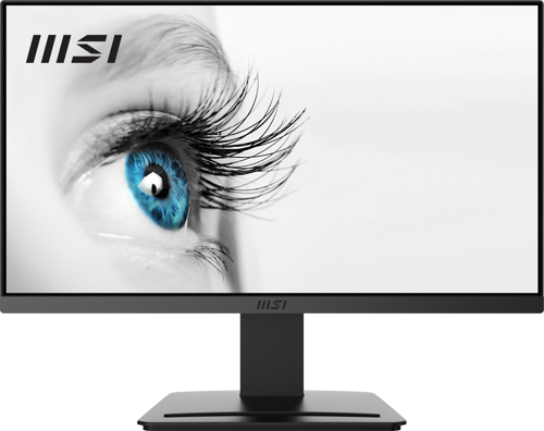 21.5" Pro Mp223 1920X1080 (Fhd) Flat Va 100Hz Antı-Glare Monitör