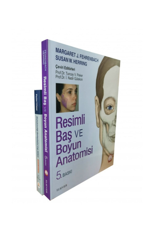 Resimli Baş Ve Boyun Anatomisi