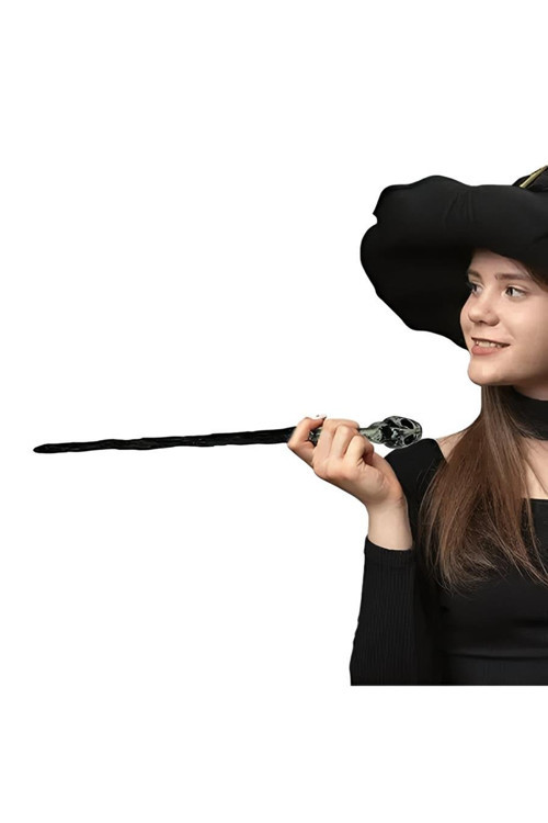 Lord Voldemort's Wand