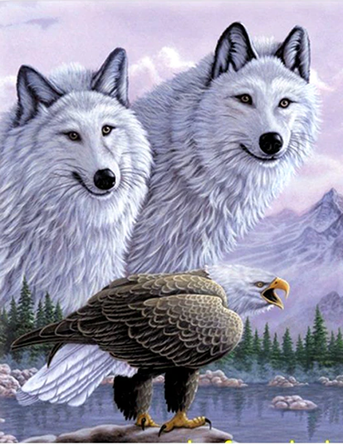 3 Boyutlu Resim Kartallı Kurt Resmi Tablosu 40x60 cm
