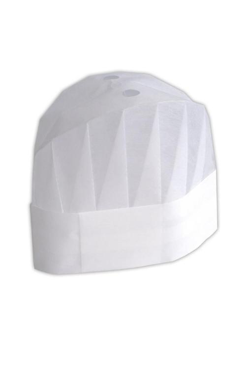 Dolphin Aşçı Kepi 10lu