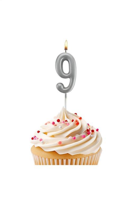 Silver Stick Numeral Candles 7cm No: 9