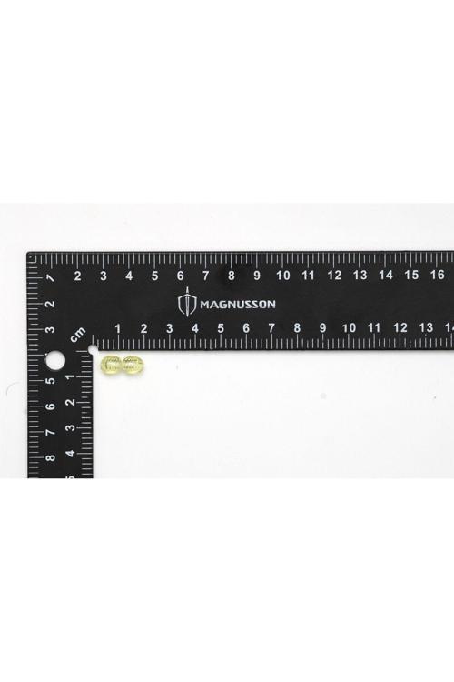 KEHRİBAR KLİPSİ  (25 ADET)