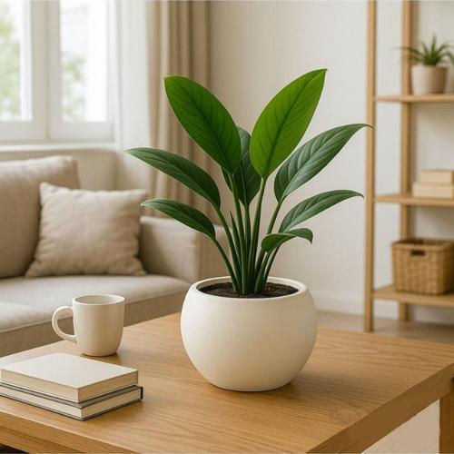 SO-KURS1 Dekoratif Modern Yuvarlak Küre Saksı 7.5 litre No 1