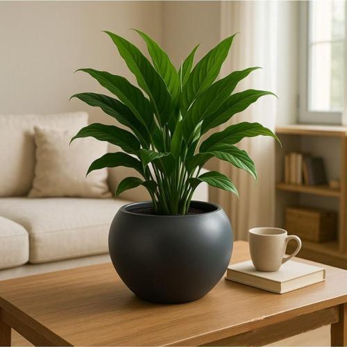 SO-KURS1 Dekoratif Modern Yuvarlak Küre Saksı 7.5 litre No 1