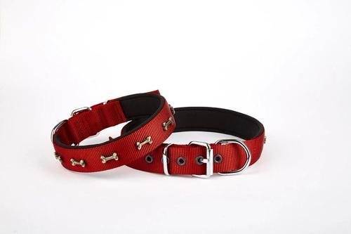 Softlu Kemik Desenli Köpek Tasması 2 cm x 40 cm Kırmızı