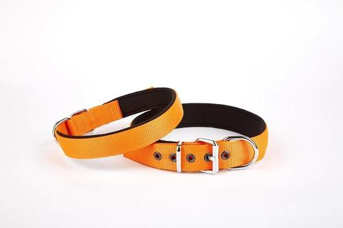 Softlu Dokuma Köpek Tasması 2,5 cm x 50 cm Turuncu
