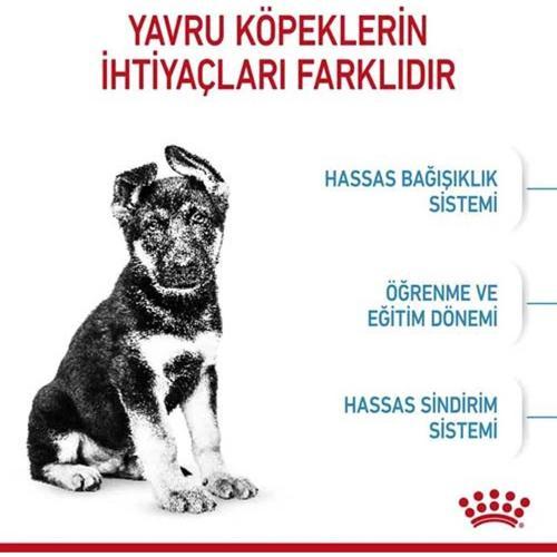 Maxi Puppy Yavru Köpek Maması 15 kg