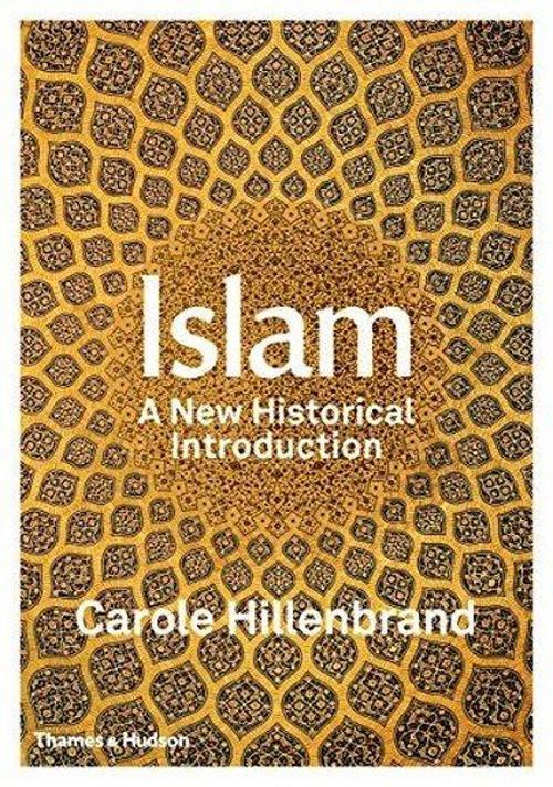 Islam: A New Historical Introduction 