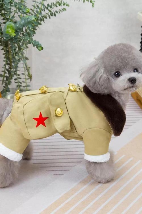 Bej Renk Çantalı Peluş Astar XL Köpek Tulum/Mont