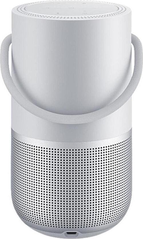 Portable Home Taşınabilir Wi-Fi Bluetooth Hoparlör Gümüş