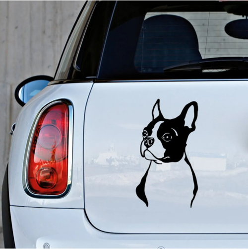 Boston Terrier Cinsi köpek Sticker Yapıştırma Etiket 25cm Siyah