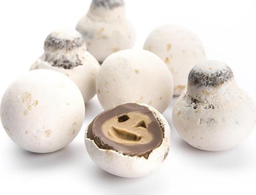 Mantar Çikolata 500 GR