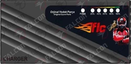 Falcon Şarj Aleti 48V 14Ah (Oranlı)