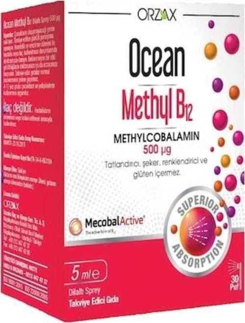 Methyl B12 Sprey 500 mcg 5 ml